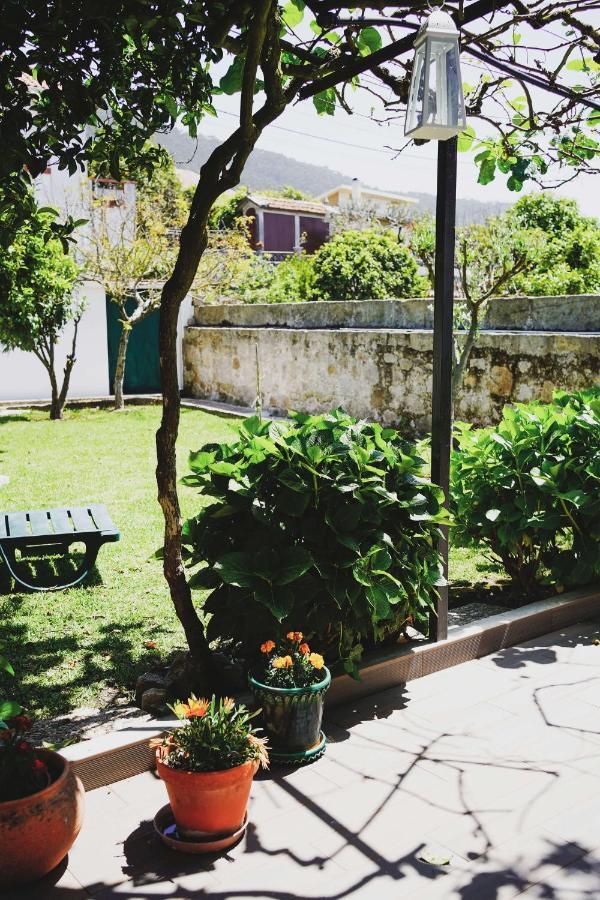 Отель Casa Do Avo Horacio Виана-ду-Каштелу Экстерьер фото